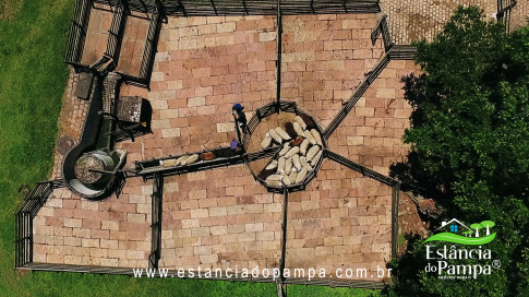 VAI ATE MANGUEIRA OVELHAS.00_00_33_21.Quadro008_fbf4a2ade53aeab983abcad5ea5a5b6b2e34dca6.jpg